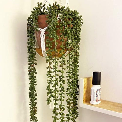 6pcs Artificial Fake String of Pearls Plant Faux Fake Hanging Succulents Plants (6, Green)