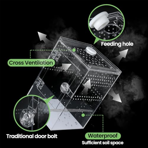 Tall Arboreal Tarantula Enclosure【𝐍𝐨 𝐀𝐬𝐬𝐞𝐦𝐛𝐥𝐲 𝐑𝐞𝐪𝐮𝐢𝐫𝐞𝐝】, Jumping Spider Enclosure, Front Above Opening, Cross Ventilation, Acrylic Arboreal Reptile Enclosure,Praying Mantis Enclosure - size: 6*6*9in