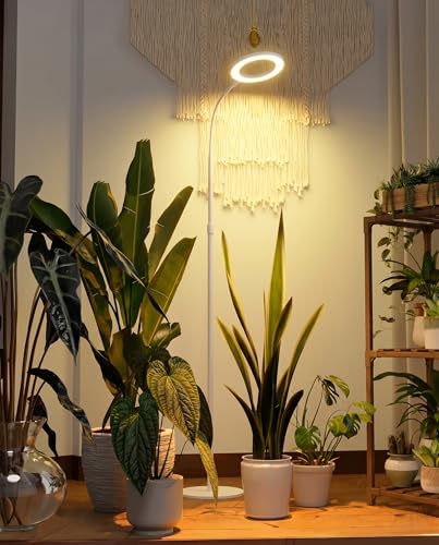 Bamworld Grow Lights for Indoor Plants, Full Spectrum Plant Lights for Indoor Growing, Floor Grow Lamp for Large Plants, Auto ON/Off Timer 3/9/12H, 10 Dimmable Levels, 37-65" Adjustable Height, White - color: White, size: 1 Head