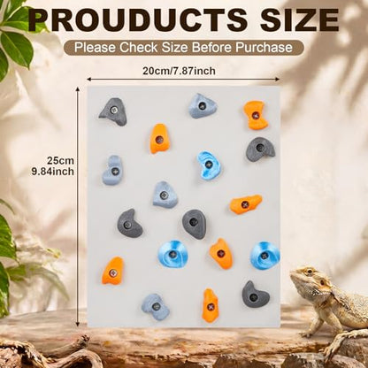 Junkin Reptile Rock Climbing Wall with Climbing Grips, 9.8 x 7.9 Inches Terrarium Enclosure Habitat Decor Reptile Tank Enrichment Accessories for Bearded Dragons, Geckos, Lizards & Snakes