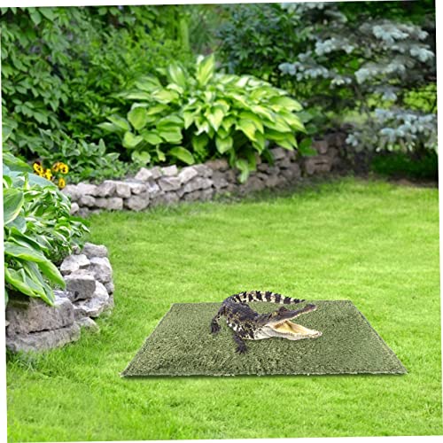 WEKAMOS 2pcs Reptile Chameleon Cage Accessories Reptile Carpet Terrarium Mats Moss Pad