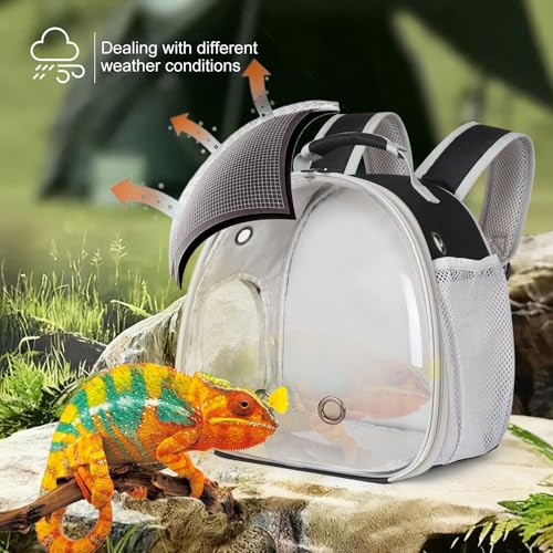 Portable Travel pet Backpack Carrier with Self Warming Pet Bed Set, Guinea Pig Carrier for 2,Reptile Travel Carrier for Lizards Sugar Glider Hedgehog Rat Parrot Birds Breathable Hangbag - color: Black