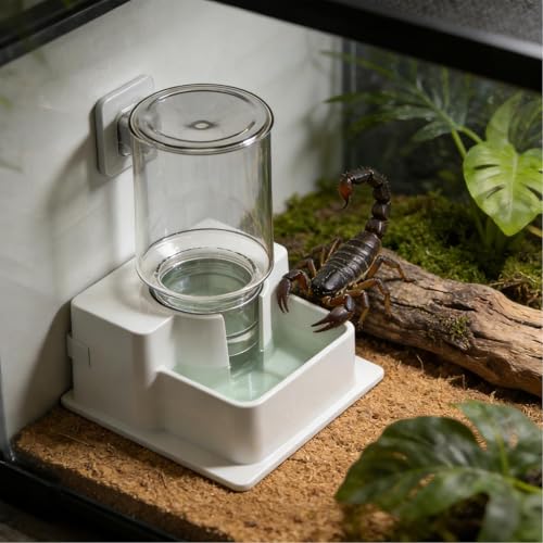 Automatic Reptile Feeder - Reptile Automatic Dish, Crab Water Dispenser | ABS, Bearded Dragon Water Bowl Food Container for Lizard Chameleon Snake Frog Hermit Crab Amphibian Habitat - color: White