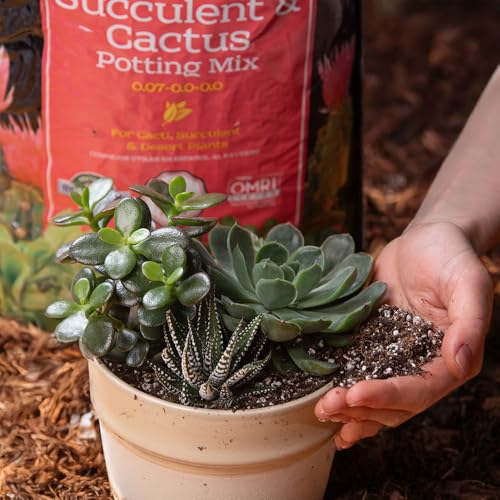 Sungro Horticulture Succulent Cactus Potting Mix - Fast Draining, Black Gold - 8 Qt - Earthworm Castings, Pumice, Perlite