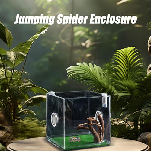 Acrylic Jumping Spider Terrarium - Reptile Growth Clear Container, Clearer View Small Pet Enclosure, Practical Convenient Spacious Habitat, Durable Housing Design Versatile Use | for Snails Lizards Be - color: Ash Green
