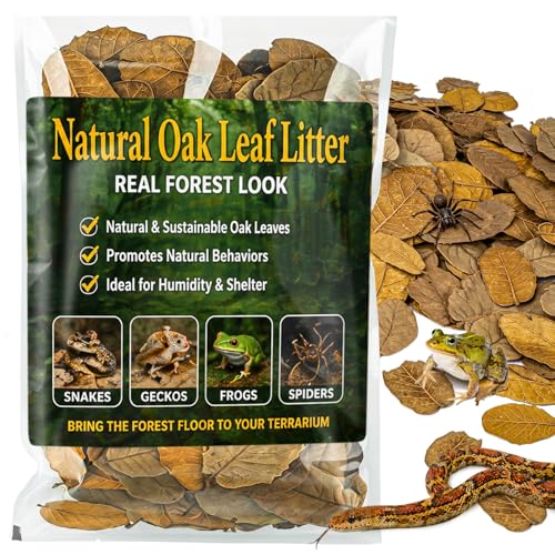 MAQIHAN 7 OZ Dry Oak Leaf Litter - Leaf Litter for Reptiles Oak Leaves for Isopods Live Substrate for Snakes, Frogs, Isopods, Terrarium Bedding - size: 7 OZ