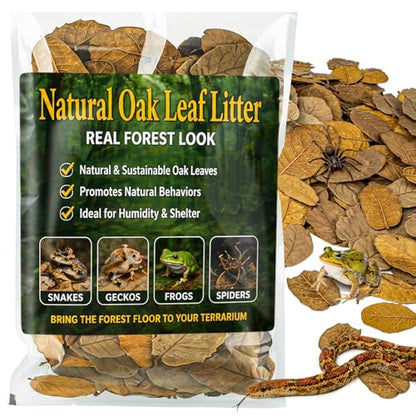 MAQIHAN 7 OZ Dry Oak Leaf Litter - Leaf Litter for Reptiles Oak Leaves for Isopods Live Substrate for Snakes, Frogs, Isopods, Terrarium Bedding - size: 7 OZ