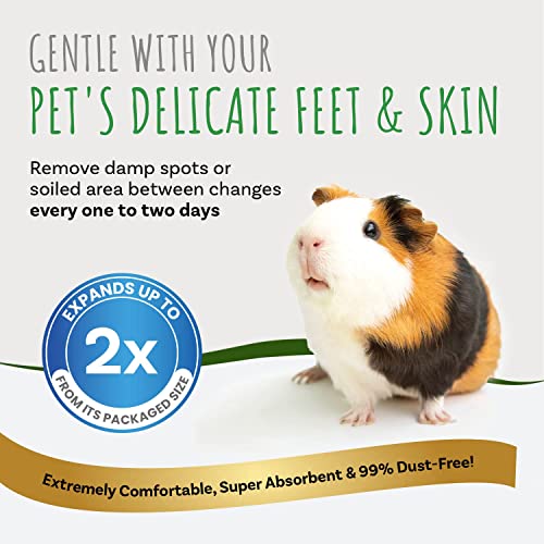 Small Pet Select Premium Natural Aspen Bedding, Animal Bedding for Small Indoor and Outdoor Pets, Made in the USA, Jumbo Size 141 L Pack - size: 141 L