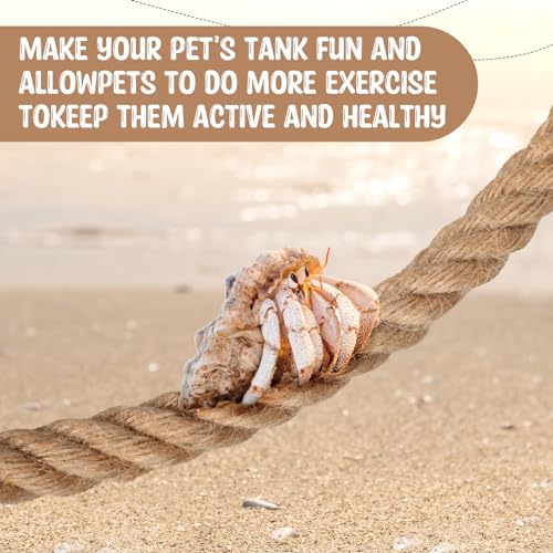 JellyArch Hermit Crab Toys Hermit Crab Climbing Jute Rope Ladder with Hooks Reptile Tank Terrarium Accessories Habitat Decor for Lizards Geckos Snakes(1 Pcs,31.5 Inch) - size: 31.5 Inch