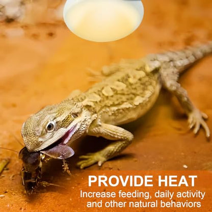 Reptile Heat Lamp 100W Combo Pack, Day and Night Basking Spot Bulb for Amphibian Includes Black Heat Lamp UVA Daylight Heating Light