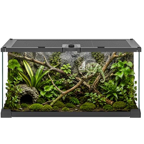 Reptile Terrariums Mini Glass Tank 12" x 8" x 6" Habitat, Top-Opening Mesh Lid with Latch, 360° Clear View, Ventilated Enclosure for Jumping Spiders, Tarantulas, Froglets & Isopods - size: 12" x 8" x 6"
