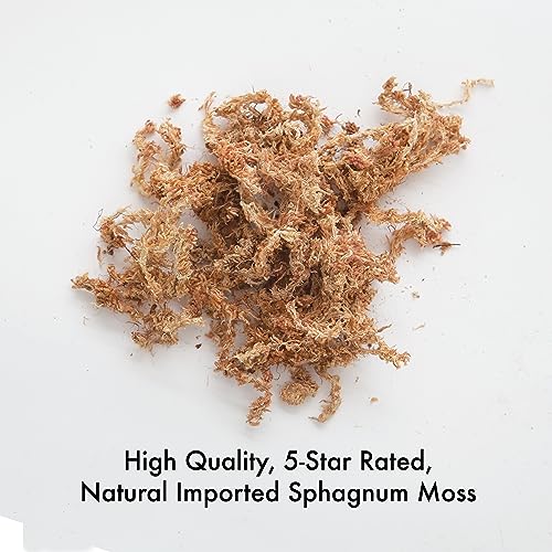 Better-Gro Premium Grade Orchid Moss - 100% Natural,Imported Sphagnum Moss for Orchids,Ferns,and Hostas,Excellent for Hanging Baskets and Propagating Plants - 190 Cubic Inches,(Pack of 12) - size: 190 cu. in. (Pack of 12)