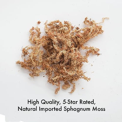 Better-Gro Premium Grade Orchid Moss - 100% Natural,Imported Sphagnum Moss for Orchids,Ferns,and Hostas,Excellent for Hanging Baskets and Propagating Plants - 190 Cubic Inches,(Pack of 12) - size: 190 cu. in. (Pack of 12)