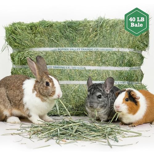 Border Valley Orchard Grass Hay Bale in Bag, 40 lb - Soft High Fiber Hay for Rabbits, Guinea Pigs, Chinchillas, Tortoises, Horses and Livestock - Leafy Grass Hay, Farm-to-Home Freshness