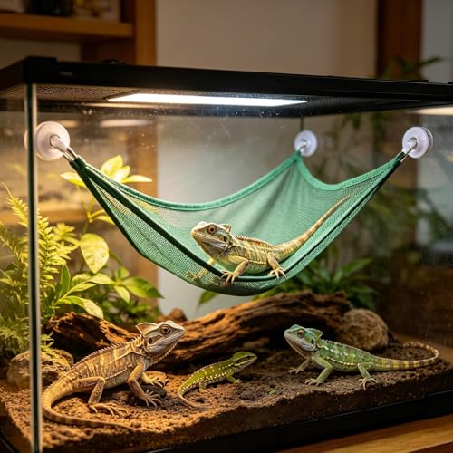 Bearded Dragon Hammocks - Breathable Mesh Snake Bed,Reptile Hammock Bearded Dragon - for Cage Enclosure Terrarium Habitat Lizard Enrichment Chameleon Frog Tortoise - color: Green