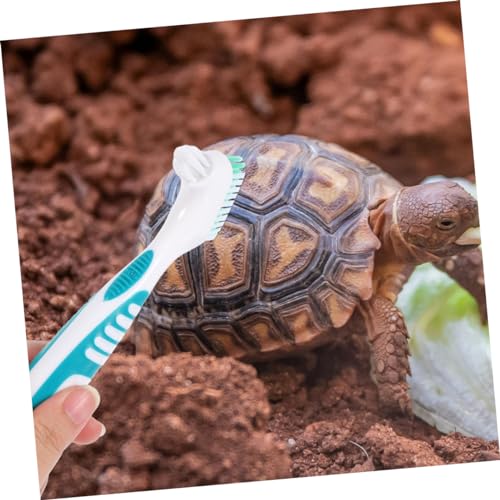 GANAZONO 3pcs Turtle Shell Cleaning Brush Reusable Aquarium Cleaner Tortoise Shell Mud Brush - color: Light Green