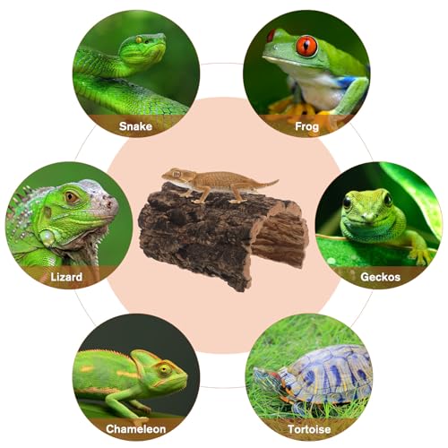 Reptile Hide Cave - Natural Cork Bark Lizard Hideout - Arched Tree Bark Tunnel for Gecko Turtle Snake Hermit Crab Climbing and Resting 6x4'' - size: 15.00X11.00X8.00CM