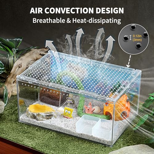Reptile PC Terrarium 12" x 8" x 6", Tarantula Enclosure,Spider Tank Starter Kit, Hermit Crab Habitat,Lizard Enclosure,Insect Housing,Jumping Spider Cage - size: 12" x 8" x 6