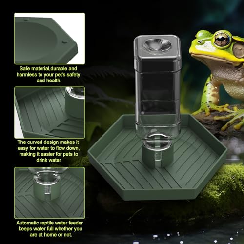 Reptile Water Dispenser-Bearded Dragon Water Bowl - Small Water Dish for Tortoise - Bowls for Reptiles & Amphibians (L) - size: L