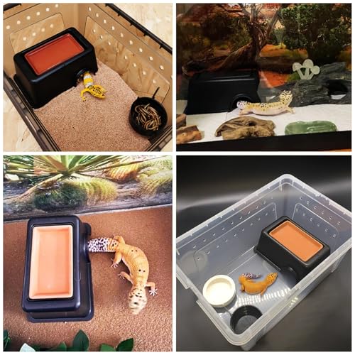 Hamiledyi Reptile Hideouts Natural Coconut Shells Hut Hermit Crab Climbing Toys and 4 Pcs Humid Hide for Leopard Gecko Moist Reptile Hide Box for Spider Snake Chameleon