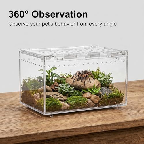2-Pack Acrylic Terrarium, Large Tarantula Enclosure with Magnetic Lid, Escape-Proof Spider Cage, Hermit Crab Tank, Reptile Habitat for Geckos, Frogs, Isopods