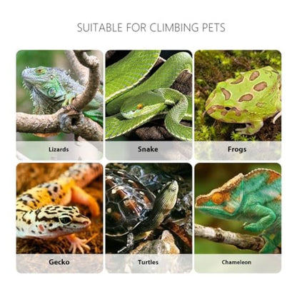 Reptiles Feeding Tongs,Clear Reptiles Feeding Tongs Gentle Creature Catcher Tool with Ergonomic Grip for Safe Handling Easy - color: Black, size: 18.3x7.50cm/7.20x2.95in