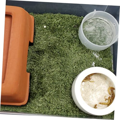 2pcs Natural-Looking Reptile Moss Carpets for Climbing Pets Absorbent Mats Breathable and Washable Terrarium Bedding for Tortoises and Amphibians