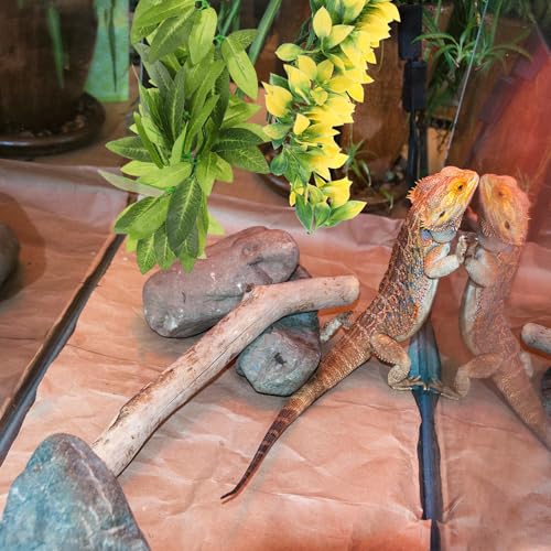 DOITOOL 3pcs Reptile Tank Decorative Artificial Plants with Suction Cups, Lifelike Fake Leaves Ornament Set for Terrarium Environment Decoration