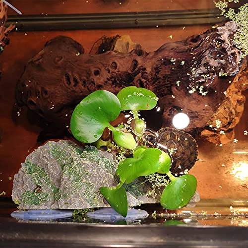 kathson Turtle Basking Platform with Suction Cup Tortoise Climbing Rest Terrace Resin Step Decoration Reptile Habitat Rock Decor for Frogs,Lizards,Geckos,Bearded Dragon-L - style: Slope