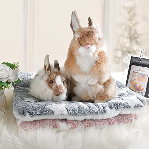 Small Animal Bed Mat, Soft & Warm, Suitable for Guinea Pig, Hamster, Rabbit, Rat and Bearded Dragon (XX-Large(19.7''x15.7''), Star Pink) - color: Star Pink, size: XX-Large(19.7''x15.7'')