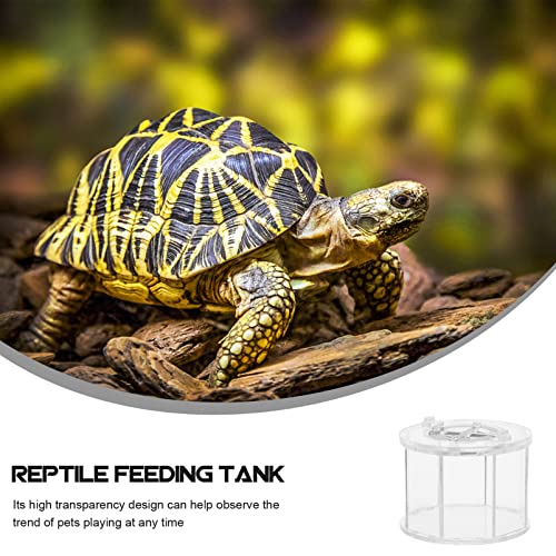 Box Insect Display Containers Reptiles Breeding Container Pet Supply Reptile -Escape Case Showing Case Clear Habitat Crawling Pet Holder Breeding Cage