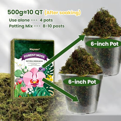 Dried Forest Moss for Plant Care, Sphagnum Potting Moss Suitable for Orchids, Carnivorous Plants, Succulents, Garden Blooms & Reptile Habitats (18 OZ) - style: 18 OZ
