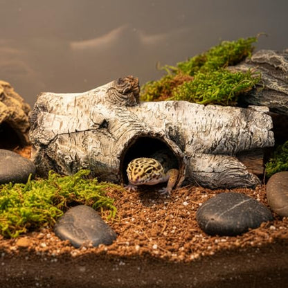 JIHAQUA Aquarium Resin Bark Terrarium Decor, Lizard, Snake or Reptile Hide,Lizard, Spider and Aquarium Fish Hide Cave (Medium Bark A)