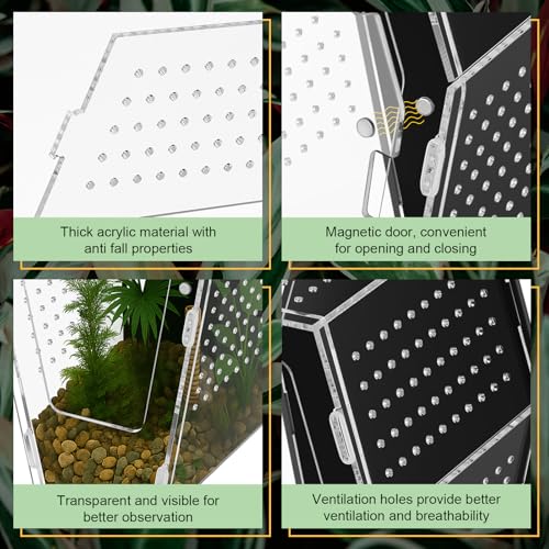 Yalikop Acrylic Jumping Spider Habitat Versatile Reptile Enclosure Transparent Insect Terrarium Habitat for Spiders, Tarantula, Gecko, Chameleon, Beetle, Mantis, and Hermit Crab(Black and Clear,L)