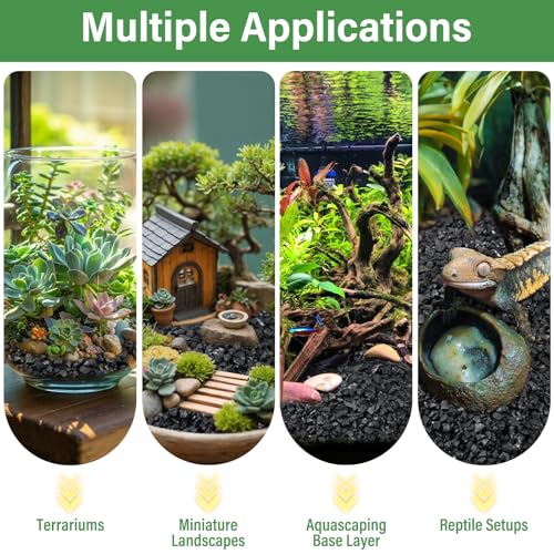 Legigo 4QT All Natural Horticultural Charcoal- Activated Hardwood Plant Charcoal for Soil Amendment, Conditioning Bonsai Soil, Succulent, Terrarium Supplies, Indoor Plant Potting Soil - color: 4 QT
