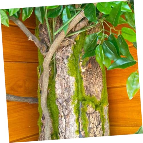 DOITOOL Reptile Bark Decor Climbing Platform for Lizards and Bearded Dragons Natural Cork Terrarium Background for Gecko Habitat Easy to Clean Safe Reptile Tank Decoration