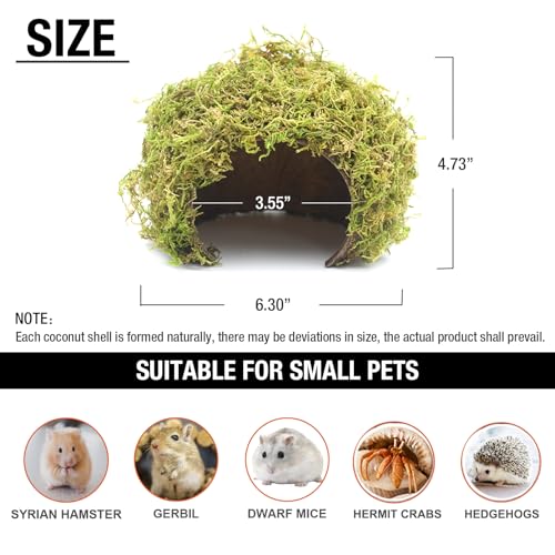 Hamster Hideaway/Hideout,Mossy Cave Hide,Hamster House/Hides,Hamster Cage Accessories for Gguinea Pig/Hedgehogs/Gliders/Rats/Mice and Other Small Animals(Set) - size: Cave, Set