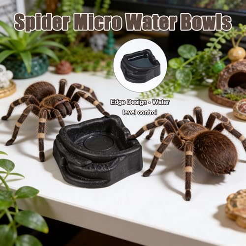 6 Pcs Reptile Water Dish, Micro Terrarium Bowls for Spider Tarantula, 1.6" Food Water Feeding Dish Enclosure, Black ABS
