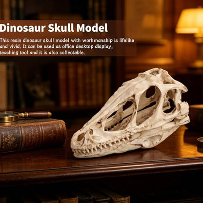 HERCHR 3D Dinosaur Skull Decor, Reptile Resin Dinosaur Skull Decoration Aquarium Decoration Model Dinosaur Animal Skull Reptile Ornament for Craft Teaching Prop Home Office Decor