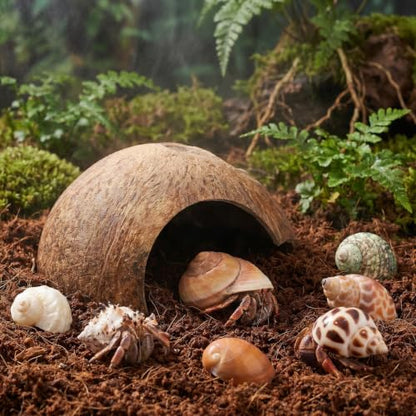 SHINEOFI Coconut Shell Hideout with 8 Large Hermit Crab Seashells Natural Reptile Shelter Small Pet Hide Cave for Aquarium Turtle Rest Hut and Lizard Habitat Decor