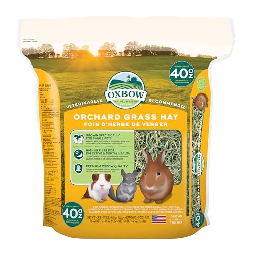 Oxbow Orchard Grass Hay for Small Pets – All-Natural Long Strand Fiber Hay for Rabbits, Guinea Pigs, Chinchillas, and Hamsters – Supports Digestive Health and Enrichment – 40 oz Bag - size: 40 Ounce (Pack of 1)
