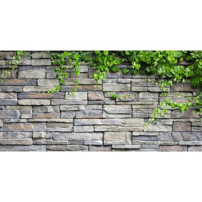 AWERT Vinyl 36x18 inches Stone Brick Wall Aquarium Background Rock Fish Tank Background Spring Leaves Terrarium Background - size: 36x18in/90x45cm