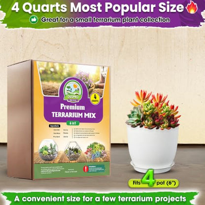 DUSPRO Premium 6in1 Terrarium Soil Mix – Pre-Mixed Terrarium Substrate Mix for Terrariums, Balanced Moisture Growing Medium with Coco Coir, Peat Moss, Pine Bark, Perlite, Pumice & Zeolite 4QRT - size: Terrarium Soil 4 Quarts