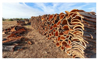 Bulk Cork BARK Flats (Sellers Choice) (20 lbs) - size: 20 lbs