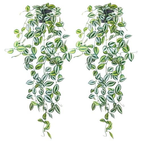 LOYWREE 2 Pack Fake Hanging Plants - Small Potted Plants with Green Eyebrow-Leaf Trailing Vines, Indoor Outdoor Aesthetic Decor for Office, Living Room Shelf & Home Accent (Black Pot) - color: Eyebrow, size: 2Pack