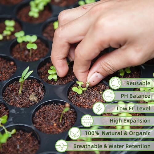 Premium Organic Coconut Coir Bricks - 12 Pack Coco Coir Bricks for Planting, Gardening, and Potting Soil Substrate. Low EC & pH Balanced 100% Organic Peat Moss Mix with Fiber from Coconut Husks - size: 12Pack