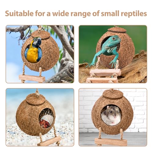 U0U Hermit Crab Coconut Husk Hut with Branch Ladder,Coconut House Hermit Crab Shells Reptile Habitat,Coconut Nest Hangable Suitable for Animal Hiding Sleep (Coconut Shell with Fiber)