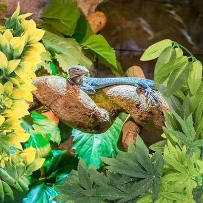 DOITOOL 3pcs Reptile Tank Decorative Artificial Plants with Suction Cups, Lifelike Fake Leaves Ornament Set for Terrarium Environment Decoration