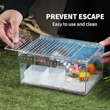 Reptile PC Terrarium 12" x 8" x 6", Tarantula Enclosure,Spider Tank Starter Kit, Hermit Crab Habitat,Lizard Enclosure,Insect Housing,Jumping Spider Cage - size: 12" x 8" x 6