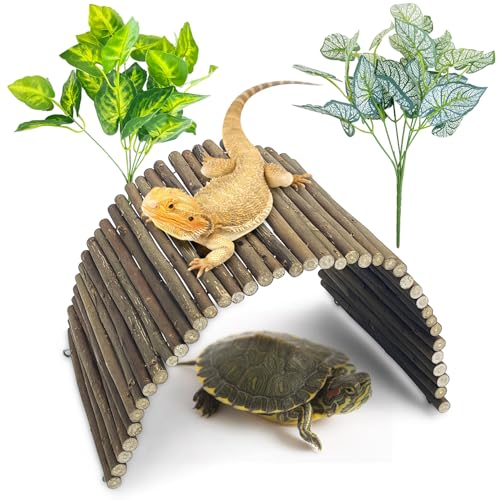 BNOSDM Large Reptile Hide Tortoise Hideout Bearded Dragon Wooden Bridge Snake Climbing Tunnel Habitat Decor for Lizards Spiders Gecko Ball Python (19.7x9 in) - color: Large-19.7x9in